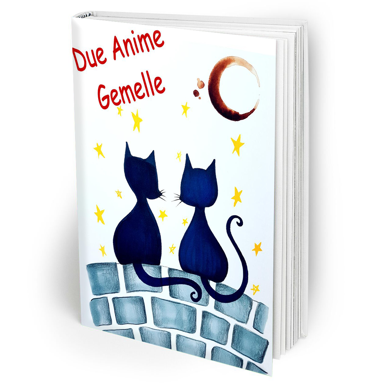 https://libelluscollection.com/wp-content/uploads/2015/02/Libro-Libellus_Due-anime-gemelle.png
